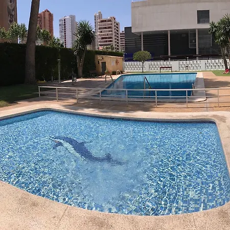 Apartman Albatros Levante
